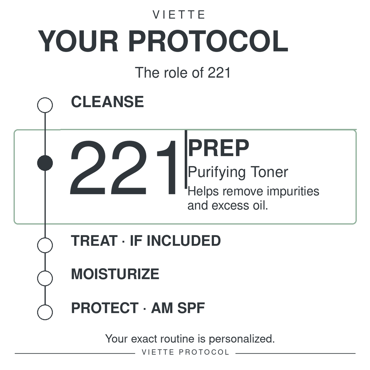 VIETTE PROTOCOL 221 Purifying Toner — role in your protocol